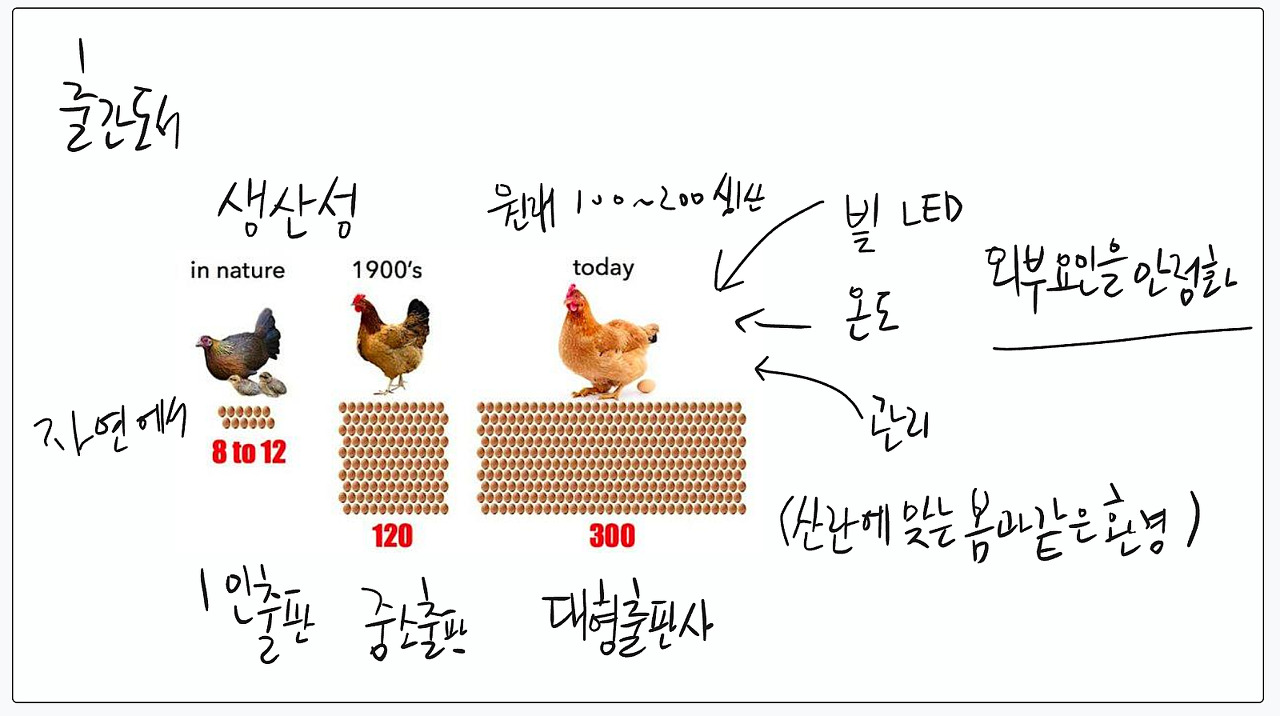 한 장으로 보는 출판사의 생산성